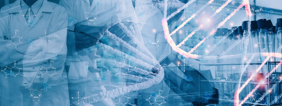 Soft focus-scientist,doctor team standing analysis DNA structure molecule helix,medical,genetic futuristic science biotechnology human cell,laboratory biochemistry,banner panoramic header