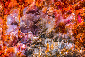 Obraz na płótnie Canvas Petrified Wood Rock Abstract National Park Arizona
