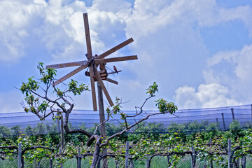 Steirisches Klapotetz & Roter Milan