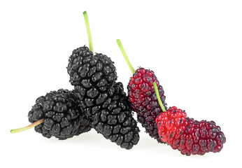 Sweet mulberries isolated on a white background. Fresh berries.