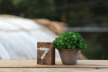 Table sign No.7 and small plant pot on wooden table.