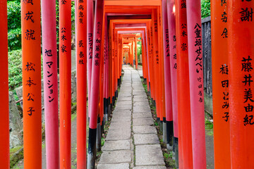 Fototapeta na wymiar 根津神社　赤い鳥居