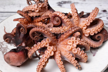 Particolare di tentacoli di polpo disposti su un piatto di ceramica. Messa a fuoco selettiva.