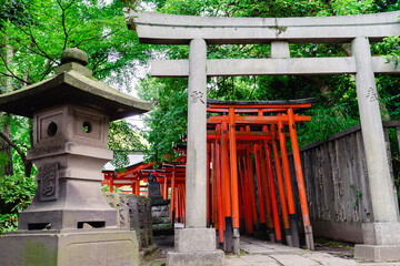 根津神社　赤い鳥居