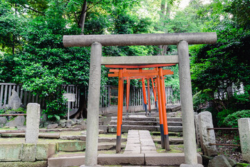 根津神社　赤い鳥居