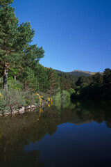 krajobraz góry jezioro wiosna niebo nienieskie natura drzewa