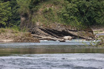 Natural setting on the banks