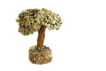 A toy tree a souvenir made and glued by your own hands. Can be used as a gift. A brown trunk with a...