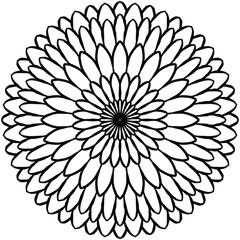 drawn mandala in the form of a flower for coloring on a white background, vector