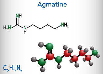 Agmatine molecule. It is amino compound, member of guanidines, natural metabolite of arginine. Structural chemical formula and molecule model