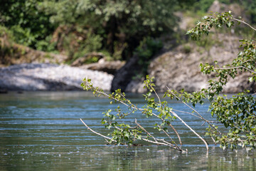 Natural setting on the banks