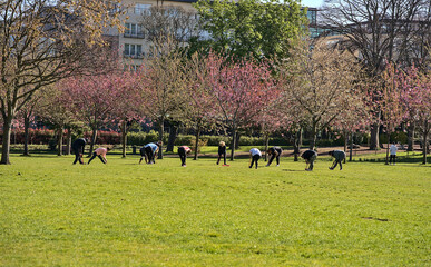 Beautiful morning distant view of big group of adult people attending yoga class, practicing social distancing and exercising yoga outside on lawn on sunny day in Herbert Park, Dublin, Ireland