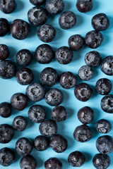 lots of blueberries on a blue background. summer fruit background