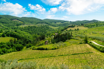 Fototapeta na wymiar Hills of the Tuscan countryside with Chianti wine vineyards Florence