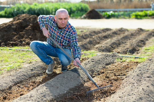 Farmer spreads rake garden beds. High quality photo