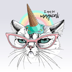 Portrait of the funny Grumpy cat in the glasses and in the Ice cream party hat on a rainbow background. Humor card, t-shirt composition, hand drawn style print. Vector illustration.
