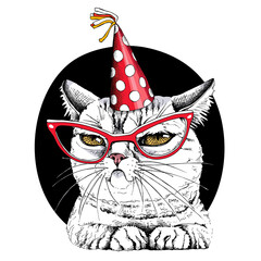 Portrait of the funny cat in the red glasses and in the polka dot party hat. Humor card, t-shirt composition, meme, hand drawn style print. Vector illustration.