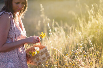 Woman picking flowers with a wicker basket in a summer meadow