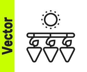 Black line Drying grapes icon isolated on white background. Dried grapes. Vector