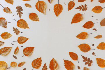 Beautiful autumn yellow leaves with blank copy space in a middle centre on beige background. Hello Autumn of thanksgiving holiday concept.