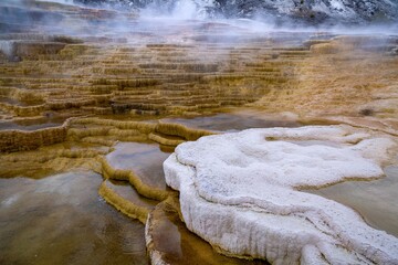 Yellowstone National Park in Wyoming.