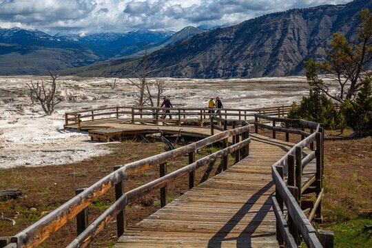 Yellowstone National Park in Wyoming.