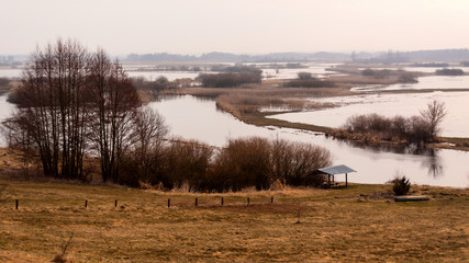 Przedwiośnie w Dolinie Biebrzy, Podlasie, Polska © podlaski49