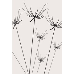 Abstract black flowers on white background, nature illustration, plants and seeds black and white card, vector