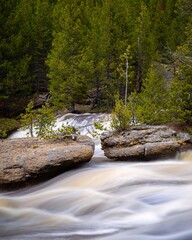 Yellowstone National Park in Wyoming.