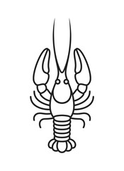 Crayfish outline. Isolated crayfish on white background