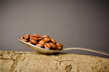 Side view of Roasted coffee beans served in silver vintage spoon on wooden log. Dark background. Creative eco advertising concept. Copy space image
