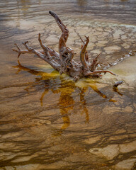 Yellowstone National Park in Wyoming.