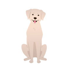 Sitting dog flat illustration isolated on white background. Happy smiling Labrador Retriever cartoon. Friendly purebred puppy vector