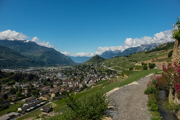 Fototapeta na wymiar Landscape view of the vineyards of Sion, with mountains and the Rhone Valley in the background , shot in Sion, Valais, Switzerland