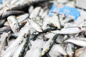 Little silver fish on a fish market