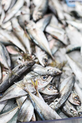 Little silver fish on a fish market