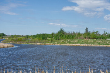 Pylypow Wetlands in the Late Spring