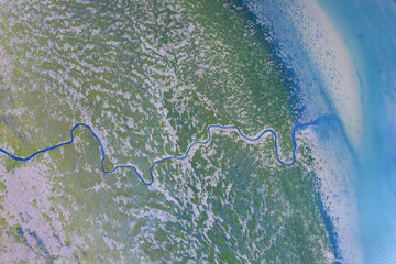 Aerial view of river meander in the lush green vegetation of the delta.
Beautiful landscape - wild river in USA.
National nature reserve in summer.