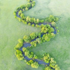 Aerial view of river meander in the lush green vegetation of the delta.
Beautiful landscape - wild river in USA.
National nature reserve in summer.