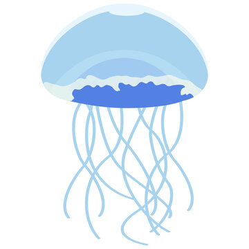 751 Best 水母 Images Stock Photos Vectors Adobe Stock