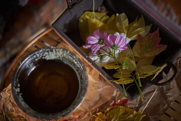 autumn still life - waxing leaves