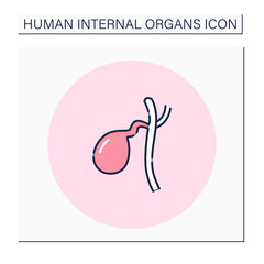Gallbladder color icon. Hollow organ for bile. Medical treatment. Body parts. Human internal organs concept.Isolated vector illustration