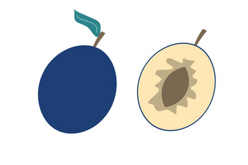 A whole plum and a piece of plum on an isolated white background. Flat vector illustration.