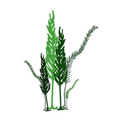 Vector image of a plant species of ferns or algae. Illustration for printing on textiles, on product packaging, for vegans, for a healthy lifestyle.