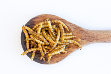 Mehlw&uuml;rmer liegen auf einem Holzl&ouml;ffel vor wei&szlig;em Hintergrund