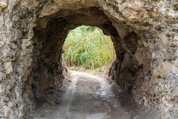 Small tunnel excavated in a rocky wall. 
