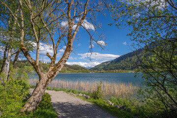 Fototapeta na wymiar tranquil landscape in early spring at lake Alpsee in the Allgaeu mountains near Immenstadt, Bavaria, Germany