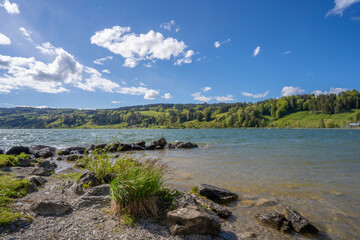tranquil landscape in early spring at lake Alpsee in the Allgaeu mountains near Immenstadt, Bavaria, Germany