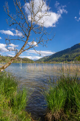 tranquil landscape in early spring at lake Alpsee in the Allgaeu mountains near Immenstadt, Bavaria, Germany