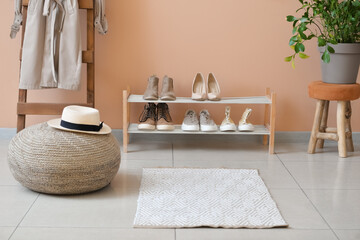 Interior of stylish hallway with rug
